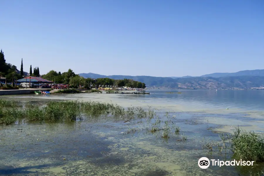 Dojran Lake