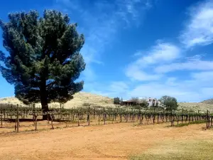 Coronado Vineyards