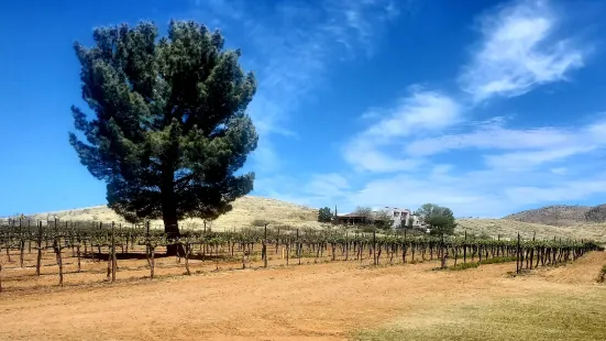 Coronado Vineyards