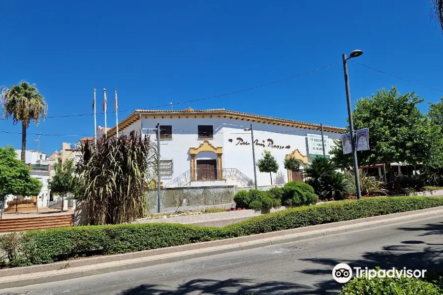 Culture House Benalmádena