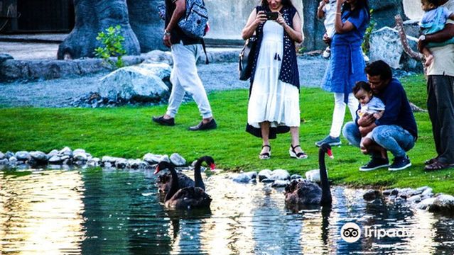 The Zoo Wild Life Park Umm Al Quwain