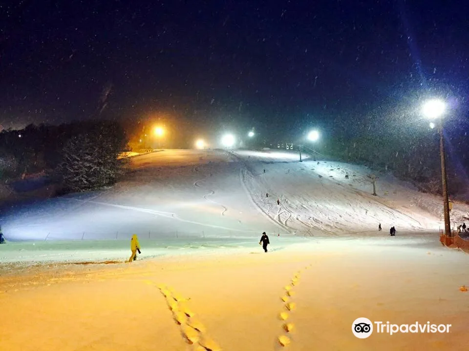 5_스노우 크루즈 온제