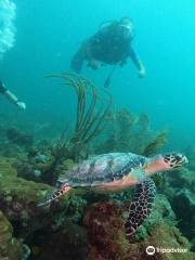 Undersea Tobago