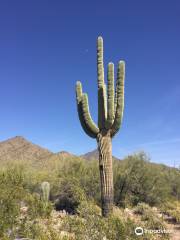 Sonoran Preserve -Desert Vista Trailhead