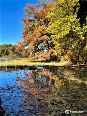 Caumsett State Historic Park Preserve