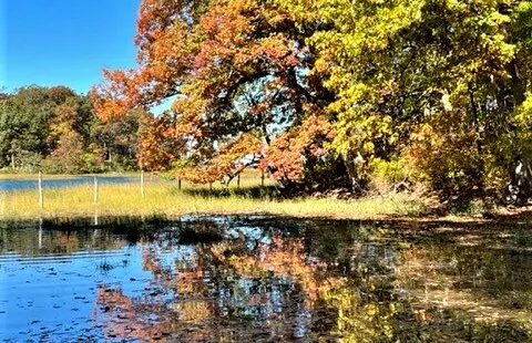 Caumsett State Historic Park Preserve