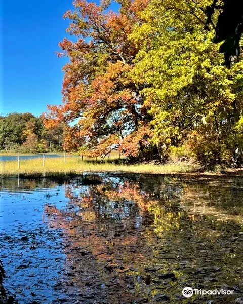 Caumsett State Historic Park Preserve