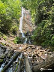 Mingo Falls