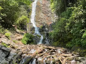 Mingo Falls