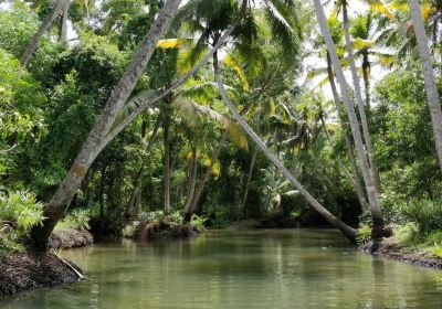 Poovar Island