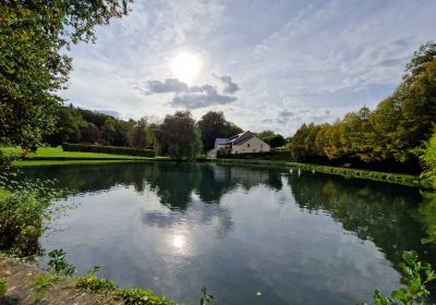 Les Jardins d'Annevoie