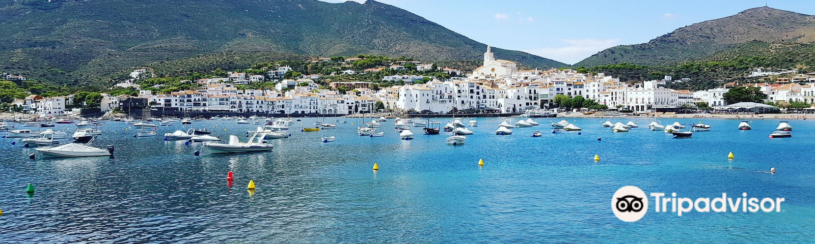 카다케스이색 체험