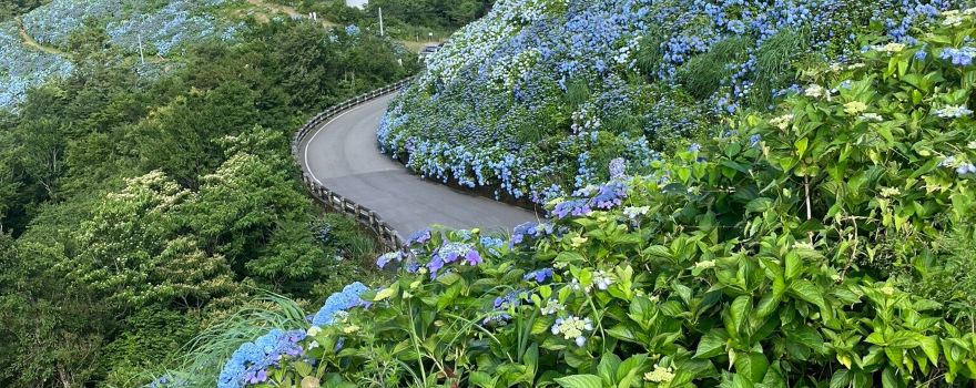 Okawara Kogen