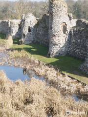 Baconsthorpe Castle