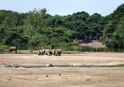 Beekse Bergen Safari Park