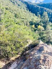 Ramsey Canyon Preserve-Nature Conservancy