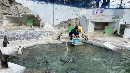 ヒノトントンZOO (羽村市動物公園)