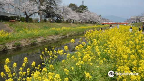 Sanagawa Embankment