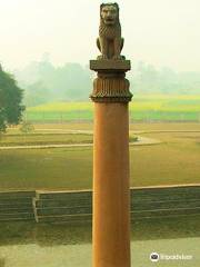 Ashoka Pillar