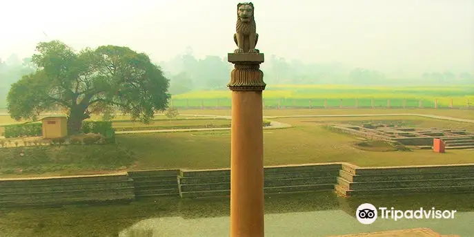 Ashoka Pillar