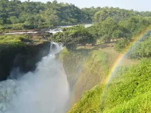 Waterfall Cruises - Murchison Falls