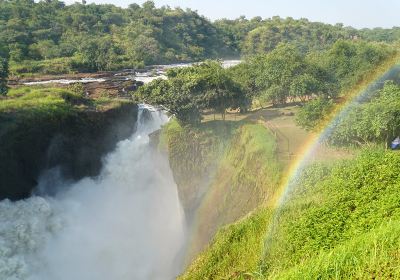 Waterfall Cruises - Murchison Falls