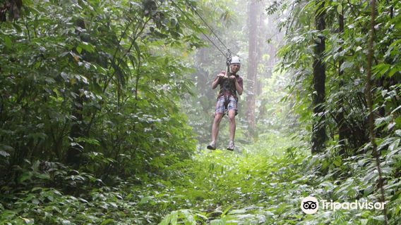 St. Lucia Rain Forest