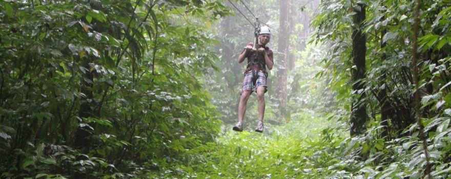 St. Lucia Rain Forest
