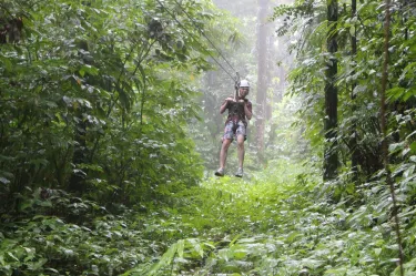 St. Lucia Rain Forest