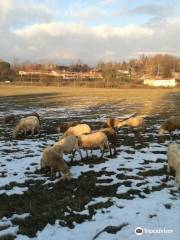 Lake Varese Bicycle Trail