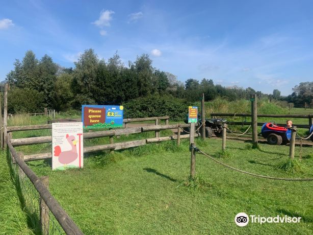 Lancaster Park & Animal Farm