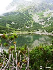 Skalnate pleso