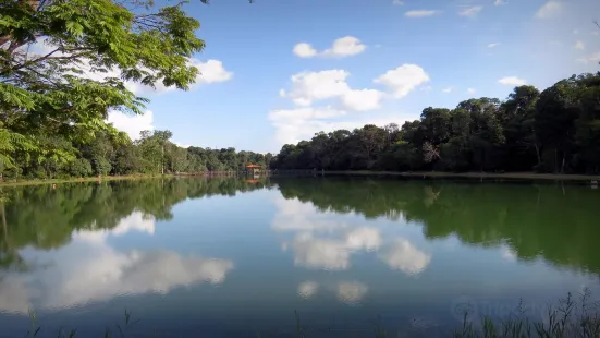 Parque Florestal de Sinop