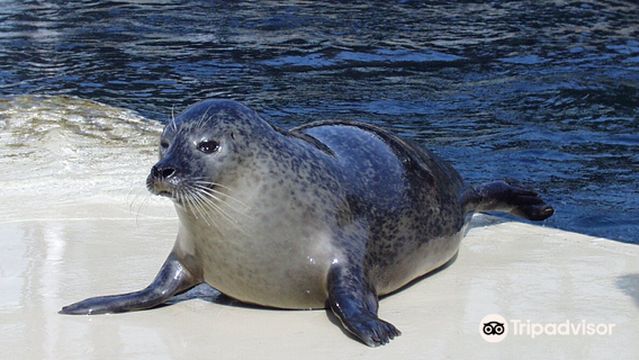 Seaquarium Institut Marin