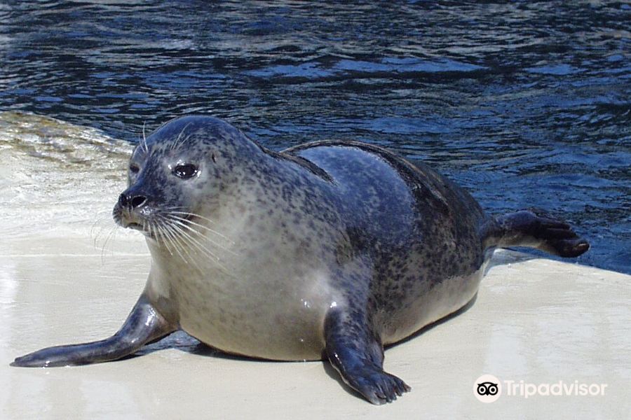 Seaquarium