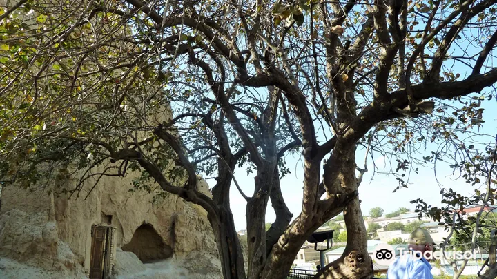 5_Prophet Daniel Mausoleum