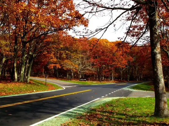 Hotels near Skyland