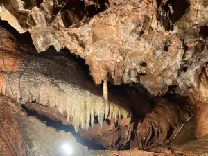 Kents Cavern Prehistoric Caves