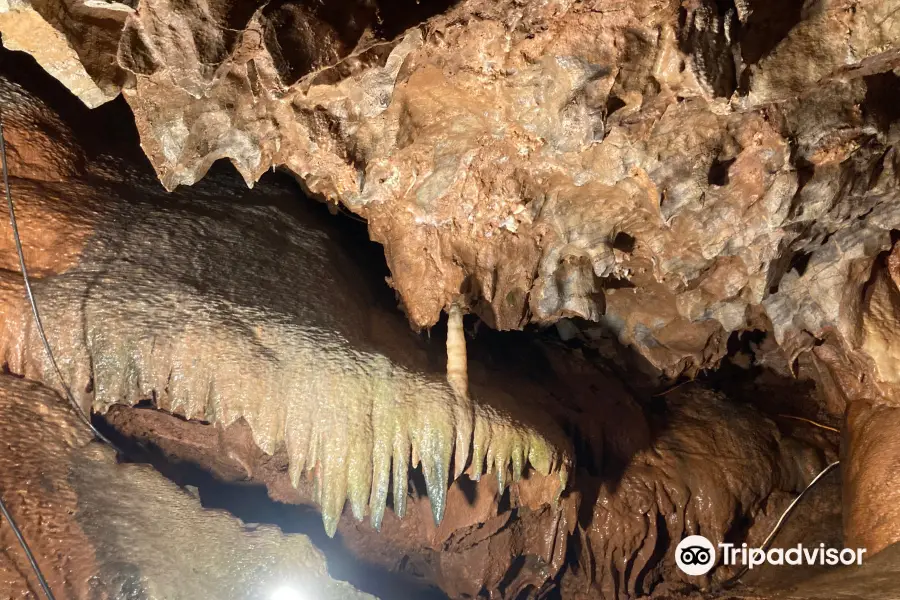 Kents Cavern Prehistoric Caves