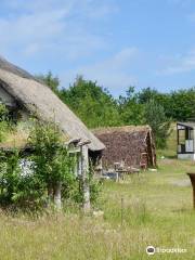 Jarrow Hall: Anglo-Saxon Farm, Village, and Bede Museum