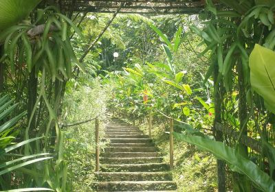 Kipandi Butterfly Farm