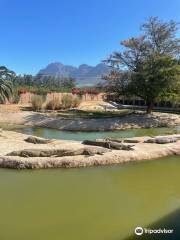 Le Bonheur Crocodile Farm