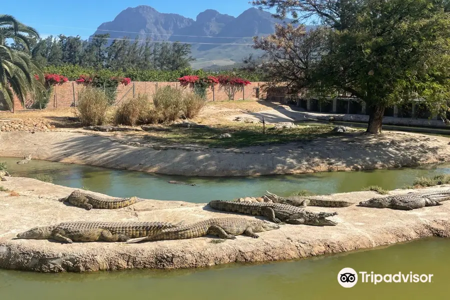 Le Bonheur Crocodile Farm