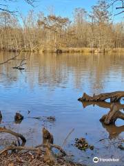 Parc d'État du lac Fausse Pointe