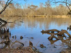 Lake Fausse Pointe State Park