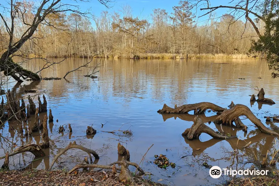 Lake Fausse Pointe State Park