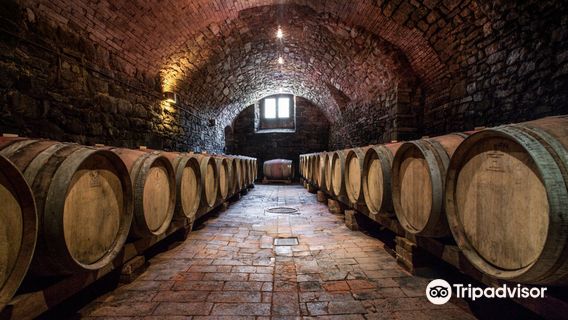 Cantina Castelvecchi in Chianti
