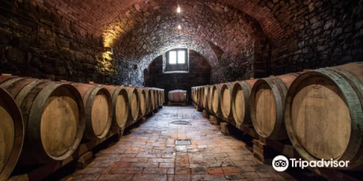 Cantina Castelvecchi in Chianti