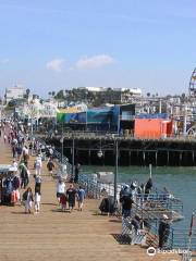 The Amazing Santa Monica Race