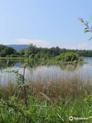 Naturzentrum Thurauen